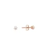 Allura Sterling FW Seed Pearl Stud Earrings | Silver RH