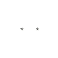 Charlie & Rose Star Earrings | Silver | CZ