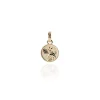 Evolve | Fantail Coin | Pendant Charm | Gold