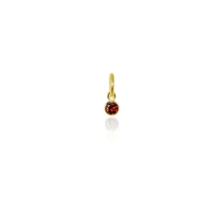 Evolve | January | Sterling | Gold | Garnet | Pendant Charm
