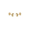 Evolve My Sunshine (Loving) Gold Plated Earrings