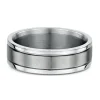 9K White Gold & Titanium Wedding Band (V)