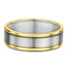 9K Yellow Gold & Titanium Wedding Band (V)