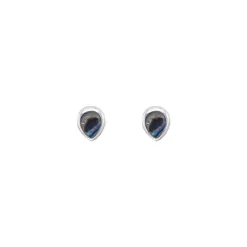Luna 'Taygete' Tear Drop Paua Stud Earrings
