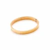 Silk & Steel Luccia Yellow Gold Plated Hinged Bangle