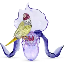 Swarovski Idyllia Gouldian Finch and Orchid