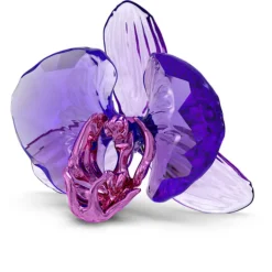 Swarovski Idyllia SCS Orchid Petal